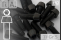 Titanium Bolts | Black | M4 | DIN 912 | Gr.5 | Tapered...