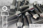 Titanium Bolts | Silver | M6 | DIN 912 | Gr.5 | Tapered Head | Allen Key M6x100