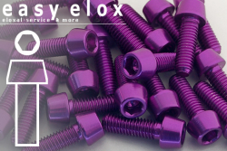 Alu Schrauben | Violett | M5 | DIN 912 | konischer Kopf | M5x10