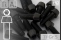 Titanschrauben | Schwarz | M10x1.25 | DIN 912 | Gr.5 |...
