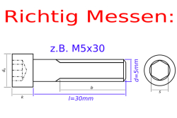 Elstahl-Daumenschrauben M3-M10, 100 Stück Elstahl-Daumenschrauben M3-M10, 100 Stück