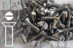 Titanschrauben | Silber | M2 | DIN 963 | Gr.2 | Senkkopf | Schlitz