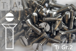 Titanschrauben | Silber | M2 | DIN 963 | Gr.2 | Senkkopf | Schlitz M2x6