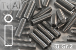 Titanium | Socket Set Screws | Silver | M3 | DIN 913 |...