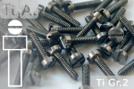 M2 Titanschrauben Silber DIN 83 / ISO 1207 Grade 2...