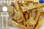 Edelstahlschrauben | Gold | M10x1.25 | Race Spec |...