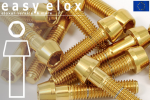 Edelstahlschrauben | Gold | M10x1.25 | DIN 912 | konischer Kopf M10x1.25x20