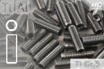 Titan Gewindestifte | Silber | M3 | DIN 913 | Gr.5