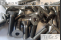Titanium Bolts | Silver | M3 | ISO 14581 | Gr.5 | Countersunk | Hexalobular M3x8