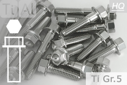 Titanium Bolts | Silver | M5 | ~DIN 6921 | Gr.5 | Hex Flange