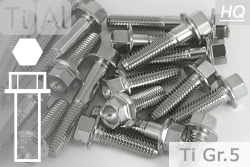 Titanium Bolts | Silver | M12x1.25 | ~DIN 6921 | Gr.5 | Hex Flange