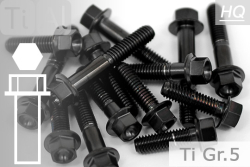 Titanium Bolts | Black | M8 | ~DIN 6921 | Gr.5 | Hex Flange