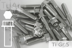 Titanium Bolts | Silver | M5 | ~DIN 6921 | Gr.5 | Hex Flange