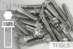 Titanschrauben | Silber | M10x1.25 | ~EN 1665 | Gr.5 | Sechskant mit Flansch M10x1.25x50