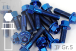 Titanschrauben | Blau | M10x1.25 | ~EN 1665 | Gr.5 | Sechskant mit Flansch M10x1.25x50