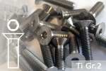 Titanium Bolts | Silver | M3 | DIN 7991 | Gr.2 |...