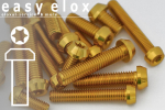 Alu Schrauben | Gold | M6 | DIN 912 | konischer Kopf | ISR