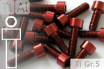 Titanschrauben | Rot | M8 | DIN 912 | Gr.5 | Zylinderkopf M8x20