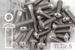 Titanium Bolts | Silver | M6 | ~ISO 7380 | Gr.5 | Button Head | Allen Key M6x16XL