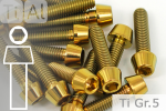 Titanium Bolts | Gold | M10x1.25 | DIN 912 | Gr.5 | Tapered Head | Allen Key M10x1.25x35