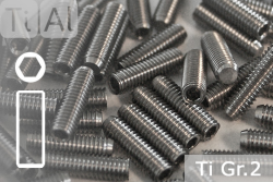 Titanium | Socket Set Screws | Silver | M2 | DIN 913 | Gr.2 | Allen Key M2x6