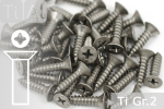 Titanschrauben | Silber | ST 4.8 | DIN 7982 | Gr.2 |...