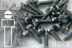 Titanium Bolts | Silver | M2.5 | DIN 84 | Gr.2 | Cap Head | Slotted