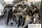 Titanschrauben | Silber | M4 | DIN 7991 | Gr.5 | Senkkopf M4x60