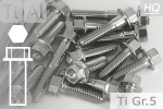 Titanium Bolts | Silver | M10x1.25 | ~EN 1665 | Gr.5 | Hex Flange M10x1.50x25