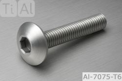 Alu Schrauben | Blank | M5 | ISO 7380 | Linsenkopf M5x20 XS (CNC)