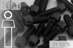 Titanschrauben | Schwarz | M5 | DIN 912 | Gr.5 | konischer Kopf M5x25