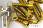 Titanium Bolts | Gold | M6 | DIN 912 | Gr.5 | Cap Head | Allen Key M6x10