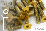 Titanium Bolts | Gold | M6 | DIN 7991 | Gr.5 | Countersunk | Allen Key M6x10