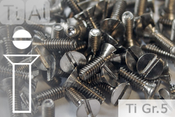 Titanium Bolts | Silver | M2 | DIN 963 | Gr.5 | Countersunk | Slotted