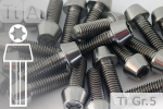 Titanium Bolts | Silver | M6 | DIN 912 | Gr.5 | Tapered Head | hollow