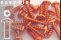 Alu Blechschrauben | Orange | M6 | ~DIN 7981 |...