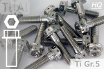 Titanschrauben | Silber | M10x1.25 | ~DIN 6921  | Gr.5 |...