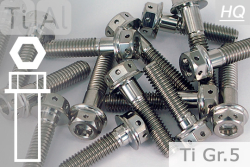 Titanium Bolts | Silver | M10x1.25 | ~DIN 6921 | Gr.5 | Flanged Hex Head + Allen Key M10x1.25x75