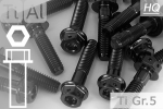 Titanium Bolts | Black | M10x1.25 | ~DIN 6921 | Gr.5 | Flanged Hex Head + Allen Key M10x1.25x25