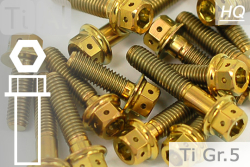 Titanium Bolts | Gold | M8 | ~EN 1665 | Gr.5 | Flanged Hex Head + Allen Key
