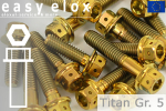 Titanschrauben | Gold | M10x1.25 | ~DIN 6921  | Gr.5 | Außen- + Innensechskant M10x1.25x20
