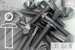 Titanium Bolts | Silver | M5 | ~ISO 7380 | Gr.5 | Button Head