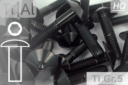 Titanium Bolts | Black | M8 | ~ISO 7380 | Gr.5 | Button Head