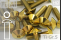 Titanium Bolts | Gold | M6 | ~ISO 7380 | Gr.5 | Button...